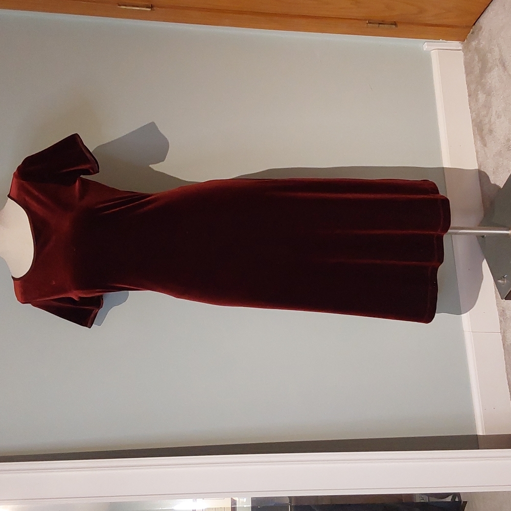 Stretch velvet dress.  Wine color with subtle iridescent trim at neck and sleeve